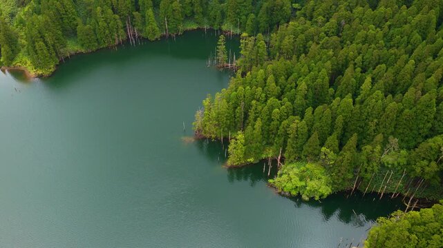 Dense Forests At Miradouro Lagoas Rasa e Funda Nature Reserve On Flores Island, Azores, Portugal. Aerial Shot