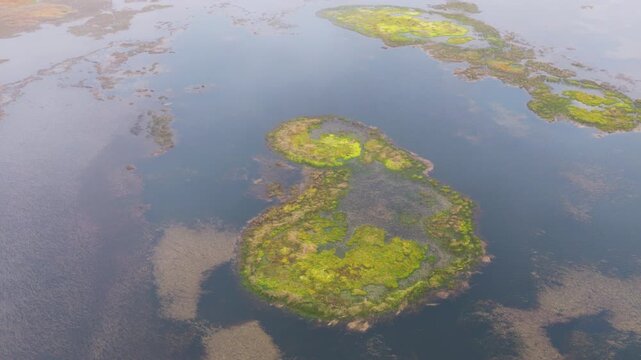 Above View Of Lagoa Branca, White Crater On Flores Island In The Azores Archipelago Of Portugal. Aerial Shot