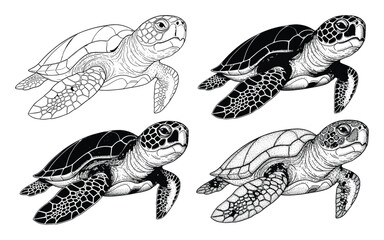 Fototapeta premium Black and white sea turtle graphics for aquatic themed apparel and ocean projects