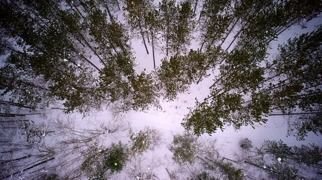 Drone shot cruising over a frozen, snow-covered wilderness in the Upper Peninsula