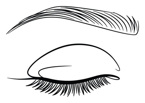 Human closed eye and eyebrow sketch for makeup tutorials beauty guides and cosmetic product designs