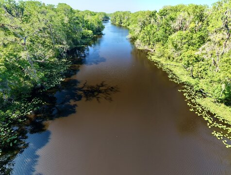 Aerial view of Sixmile Creek with dark water flowing through a dense green forest and lily pads along the banks in St. Johns County, Florida, United States.