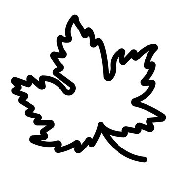 Maple leaf Line Icon