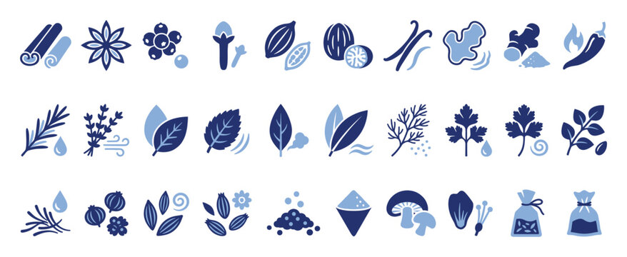Essential kitchen herbs and spices icon set for cooking recipe and healthy eating designs