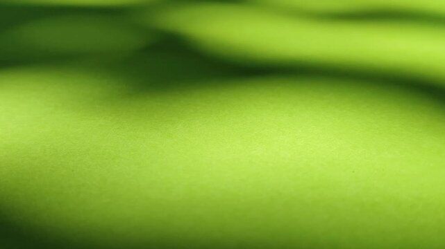 Soft moving leaf shadows creating natural pattern on green background, showing aesthetic light and shadow effect.