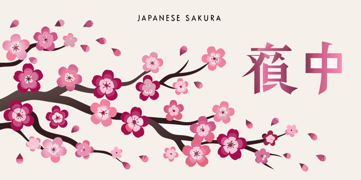 Sakura branch with pink blossoms japanese floral vector illustration