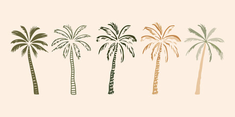Fototapeta premium Palm trees illustration botanical drawing on a beige background