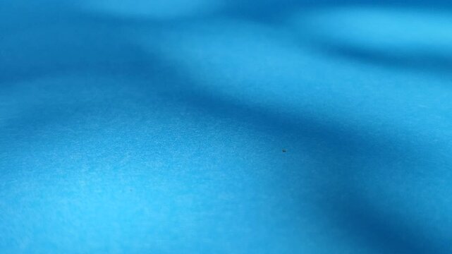 Soft moving leaf shadows creating natural pattern on blue background, showing aesthetic light and shadow effect.