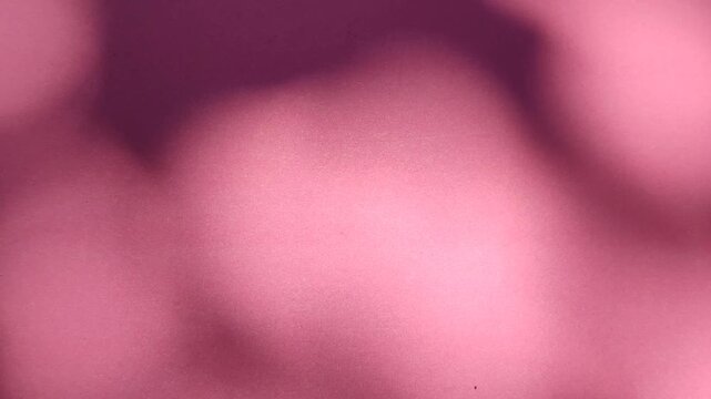 Soft moving leaf shadows creating natural pattern on pink background, showing minimalist light and shadow aesthetic.