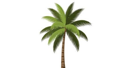 Fototapeta premium Single Tropical Palm Tree with Lush Green Leaves Isolated on White
