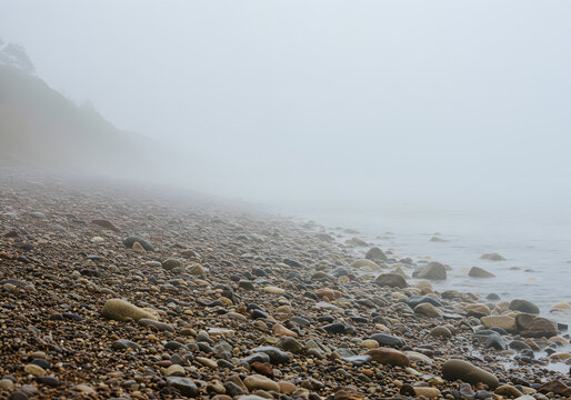 Misty coastal rockscape