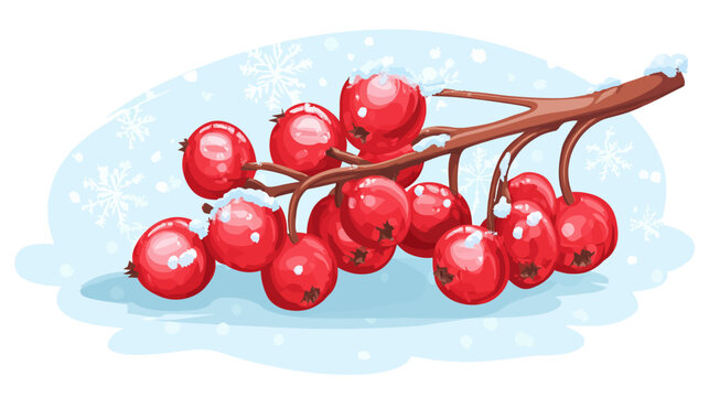 Vibrant red berries cluster along a brown twig in a snowy blue winter scene now