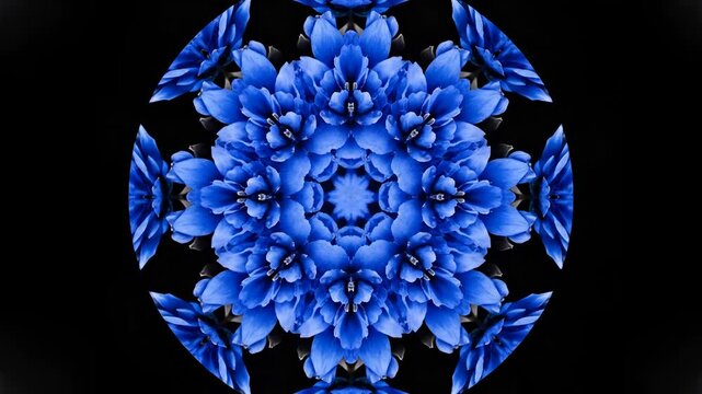 Intricate Blue Floral Kaleidoscope Pattern with Dark Background.