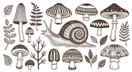 Whimsical Mushroom, Snail, and Leaf Icons, Brown Vector Illustrations, 20 Elements, Nature Symbols, Botanical Designs © Turbo