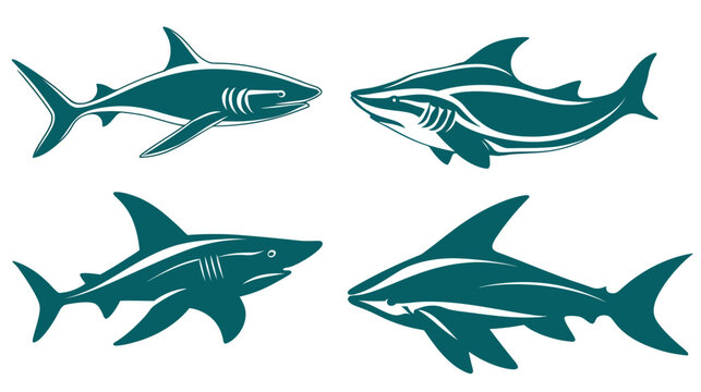Four stylized shark illustrations in teal, on white background. Different angles and poses