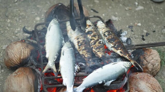 A person flipping a grilled milkfish (bangus) using dried coconut husk as fuel