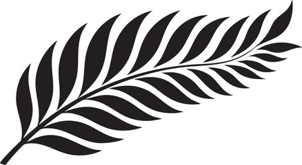 feather on white background © MD