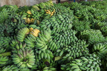 Massive pile of fresh green banana bunch harvest waiting at local market feeling incredibly abundant and vibrant with natural agricultural plenty ready for ripening © CoreRock