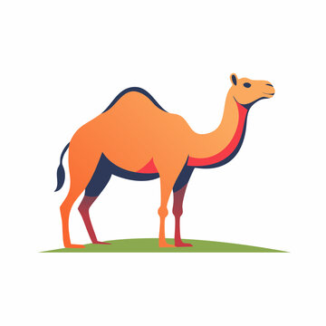 Stylized Camel Illustration