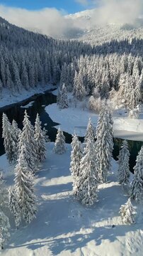 Caumasee Lake Cauma in Switzerland during winter nestled in a snow-covered pine forest