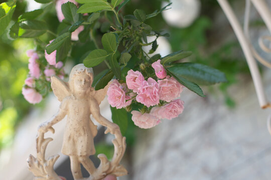 妖精とピンクの小薔薇