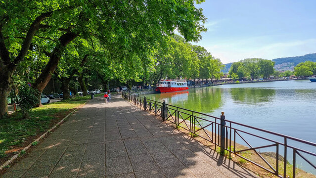 ioannina city by the lake and green platanus tree sping season greece