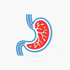Fototapeta premium Stylized Illustration of Human Stomach Anatomy