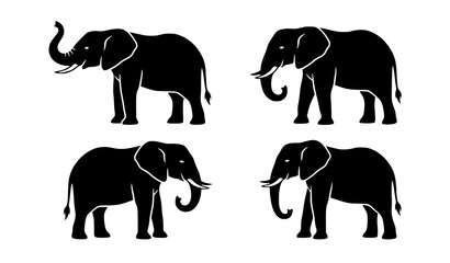 Black elephant silhouette collection vector safari wildlife illustration © MdMasud