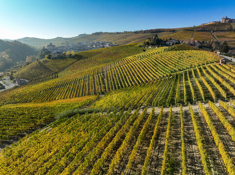 Aerial view of Barolo Cannubi Hill vineyards with rolling hills of autumn grapevines and the historic village in the background under a clear sky Barolo, Piedmont, Italy.