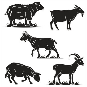 Illustrations of various domesticated and wild ruminant animals grazing and standing