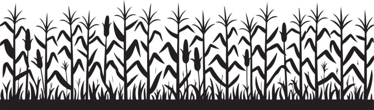 A black corn field. Maize field silhouette vector illustration