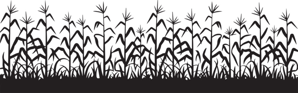 A black corn field. Maize field silhouette vector illustration