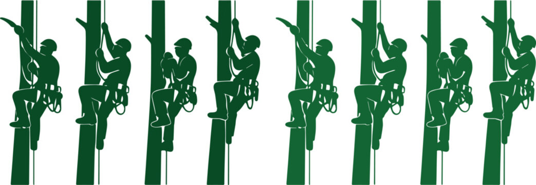 Arborist tree climbing vector silhouette, professional tree surgeon at work, green forestry service worker icon set, nature conservation and landscaping graphic resource