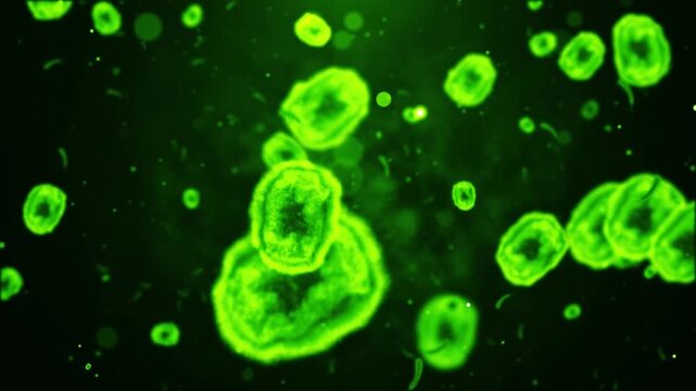 4K Ultra HD footage of Hantavirus dangerous respiratory virus alert with spreading pathogens and medical warning interface