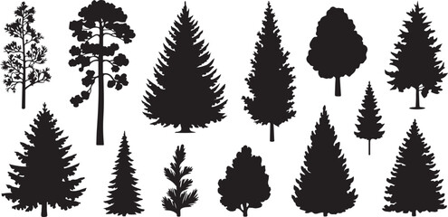 Fototapeta premium Forest trees set. Isolated vector silhouette. Coniferous forest. Christmas tree, fir-tree, pine, pine-tree, Scotch fir, cedar silhouette vector illustration