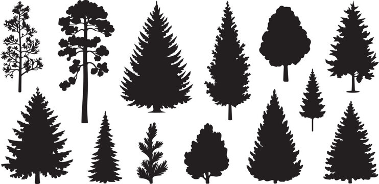 Forest trees set. Isolated vector silhouette. Coniferous forest. Christmas tree, fir-tree, pine, pine-tree, Scotch fir, cedar silhouette vector illustration