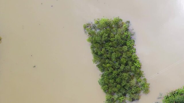 Small island flooded by monsoon flood water at haor region in Bangladesh.