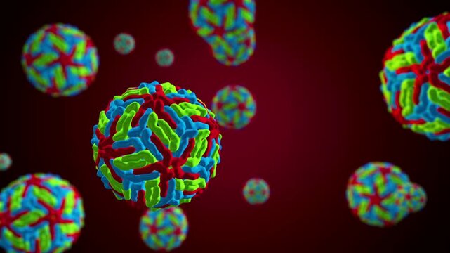 4K Ultra HD footage of a Hantavirus Orthohantavirus particle animation loop demonstrating the spherical virus replication and microscopic infectious pathogen biology.