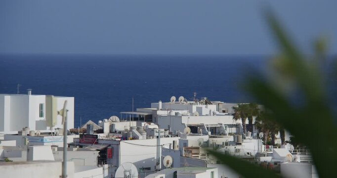 Longshot of white wash buildings in Puerto del Carmen with out of focus oleander plant in foreground