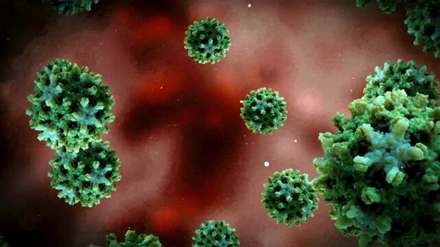 4K Ultra HD footage of how immune cells attack the Hantavirus particles showcasing macrophage phagocytosis and white blood cell immune response.