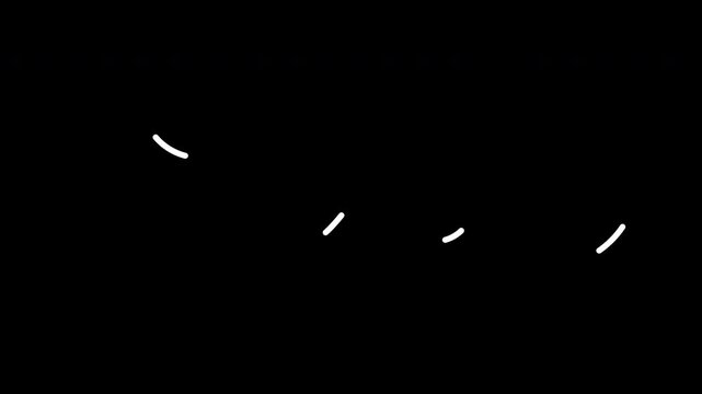 Summer Handwriting Script Text Animation Clean Modern Lettering Motion Graphic Loop Video