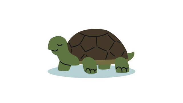 A happy turtle with green skin and a brown shell, walking slowly, cartoon motion graphic footage, dynamic clip.