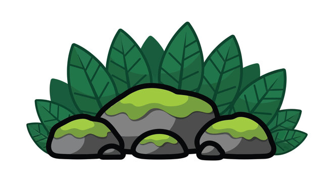 Mossy rocks with green leaves.
