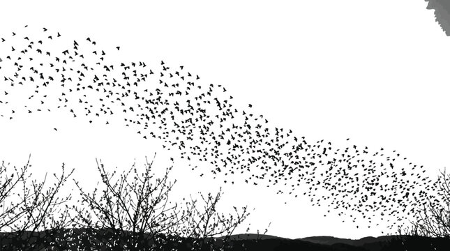Large flock of black starlings flying in a coordinated formation across the bright sky captured in this high contrast black and white nature photograph showing the beauty of wild birds.