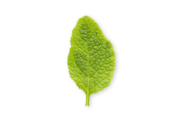 Fresh green mint leaf with clear textures on surface, PNG © Atlas