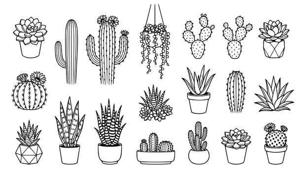Set of various cactus plants in decorative pots outline icons