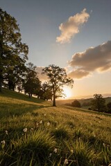 Fototapeta premium A digitally created landscape of a sunlit grassy hillside with scattered trees and wildflowers, set against a soft orange-hued sky at sunset.
