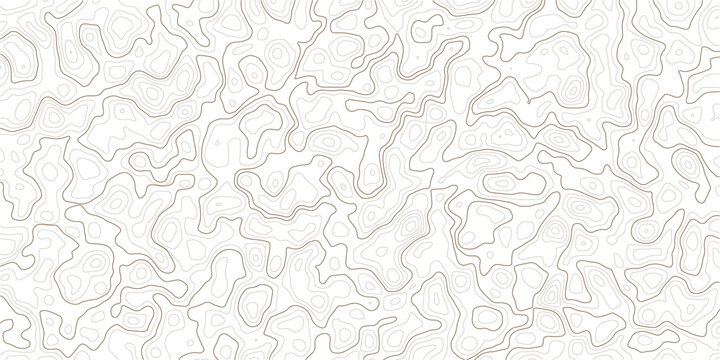 Brown topographic contour map lines on white background texture pattern