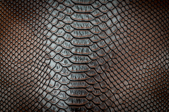 Brown snake skin texture pattern can see the surface details.