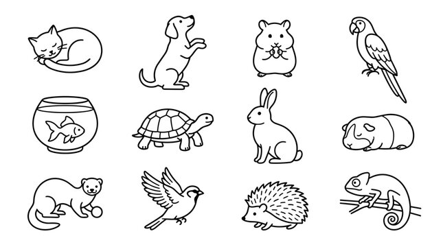 Collection of cute hand drawn animal illustrations including a cat dog hamster parrot fish turtle rabbit guinea pig ferret bird hedgehog and chameleon
